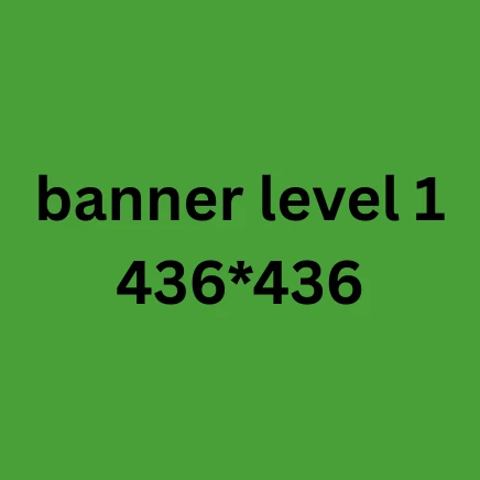 Dell Latitude 3310 Core i5-8265U, 16GB Ram, 256 SSD, 13.3″ Inch - int